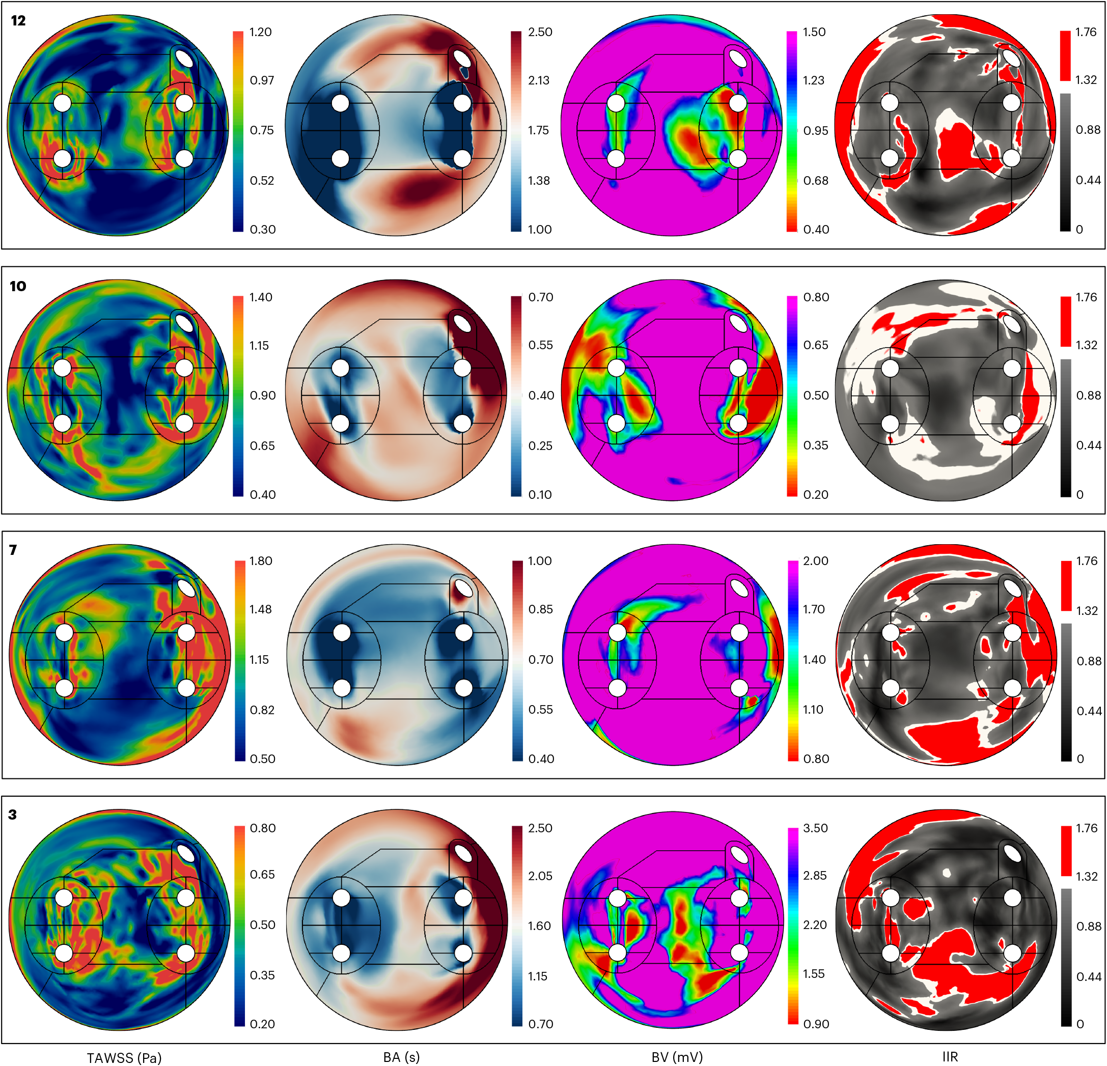 Fig. 4: Combined 2D maps of four representative cases of the primary variables: TAWSS, BA, BV and IIR.