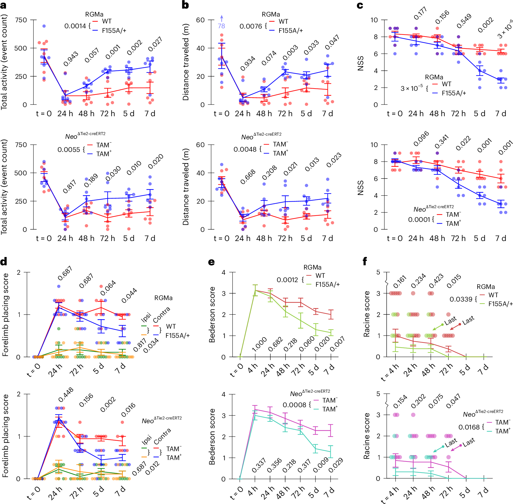 Fig. 8: Disruption of RGMa–Neo1 signaling pathway reduced behavioral deficits observed over 7 days after MCAO.
