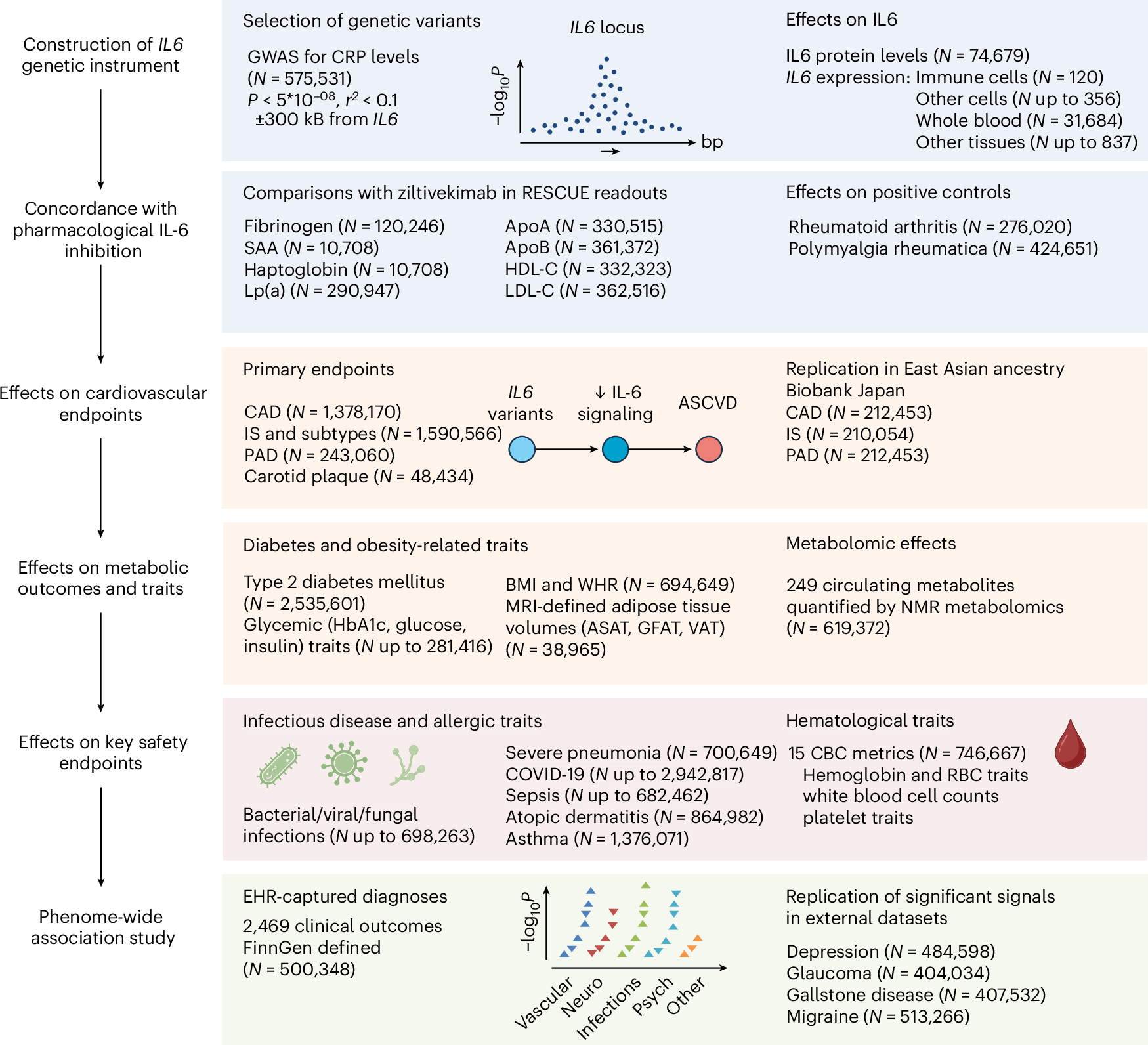 遺伝子変異が心血管疾患からの保護に寄与(Gene variant protects against cardiovascular diseases)