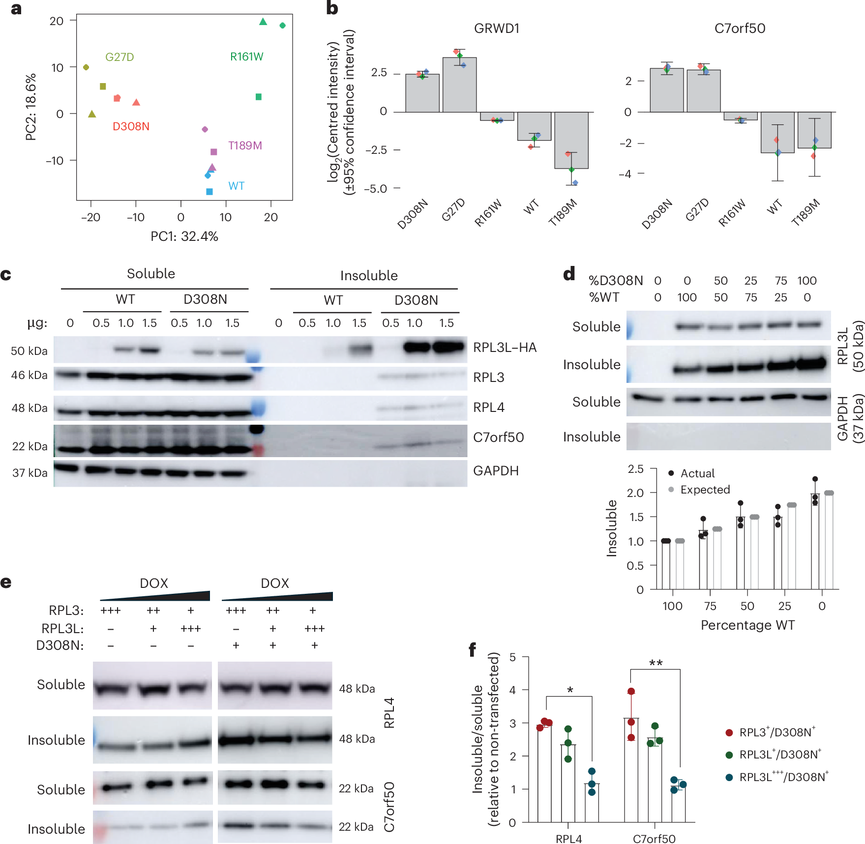 Fig. 5: Hotspot variants bind more strongly to many nucleolar proteins and promote protein aggregation.