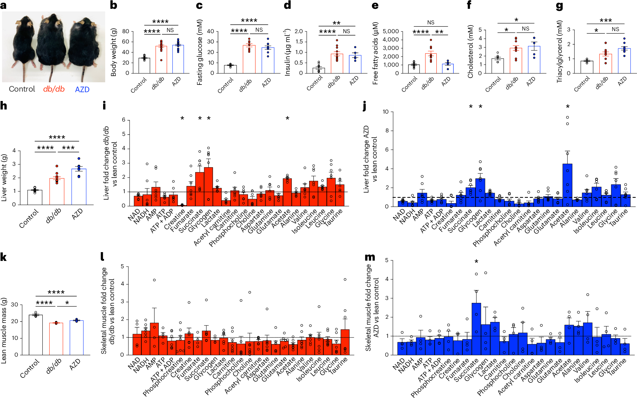 Fig. 4: The systemic effect of AZD1656 treatment in db/db animals.