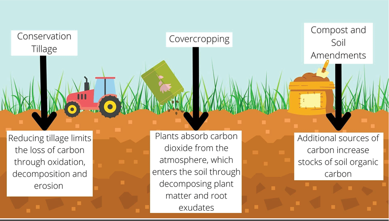 Soil can store gigatons of carbon, and Yard Stick wants to measure