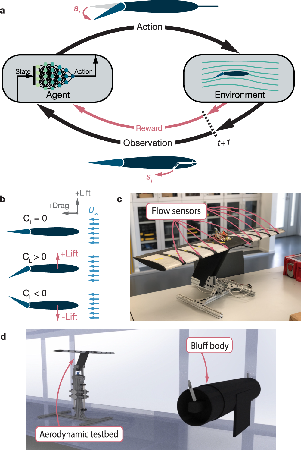 Machine learning for flow-informed aerodynamic control in turbulent wind  conditions