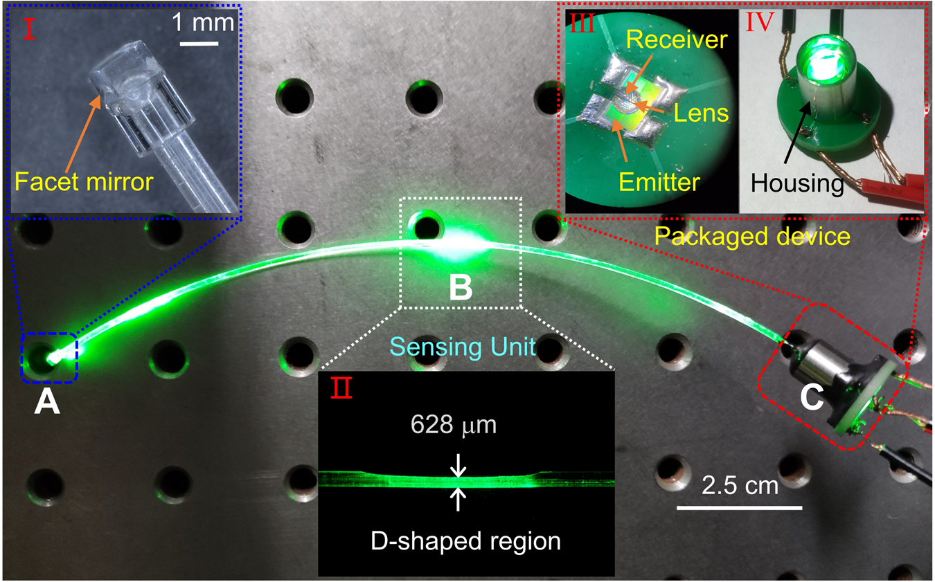 Fig. 3: Bird’s-eye optical image of the chip-integrated POF wearable sensing system.