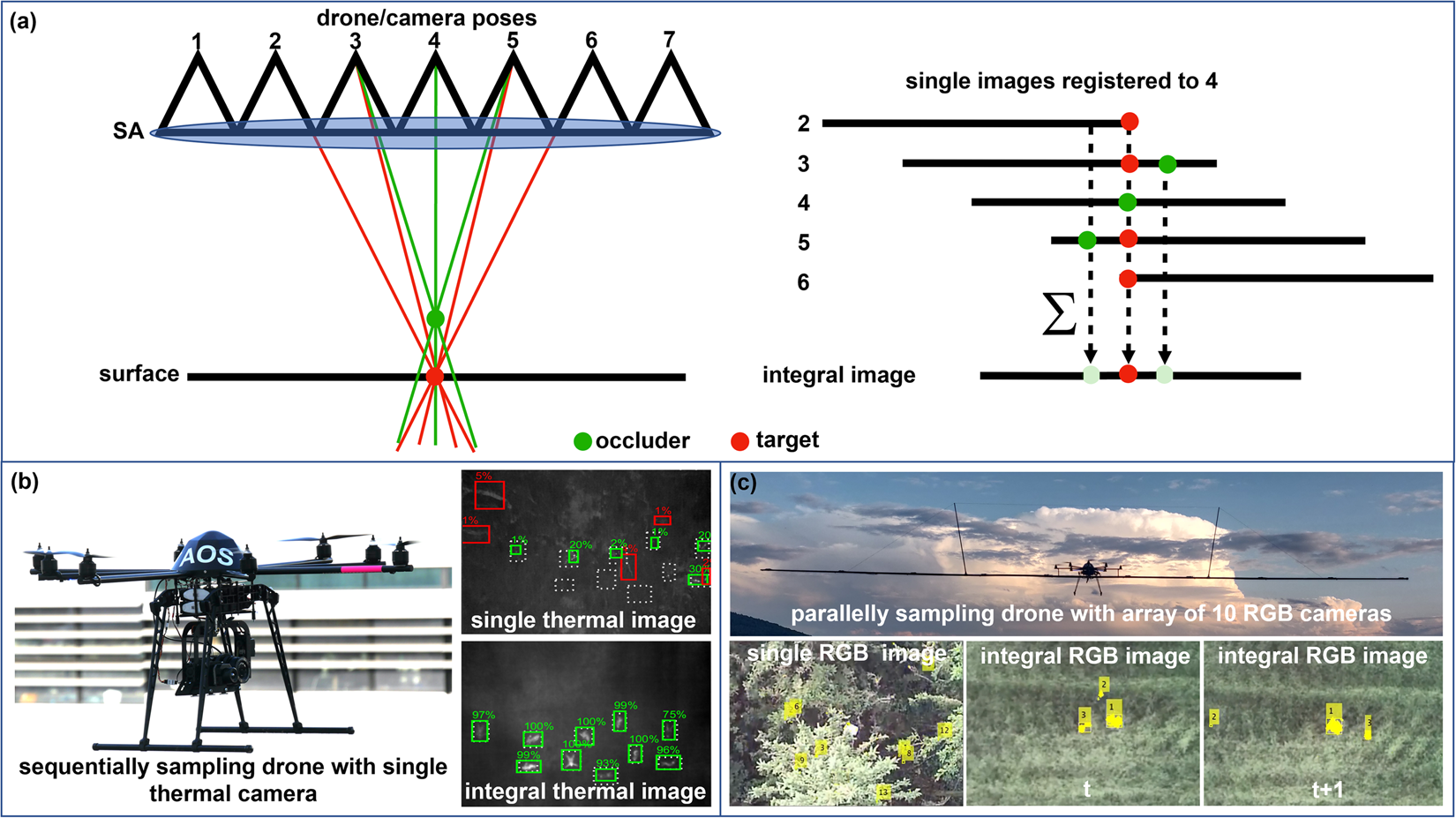 Drone swarm strategy for the detection and tracking of occluded targets in  complex environments