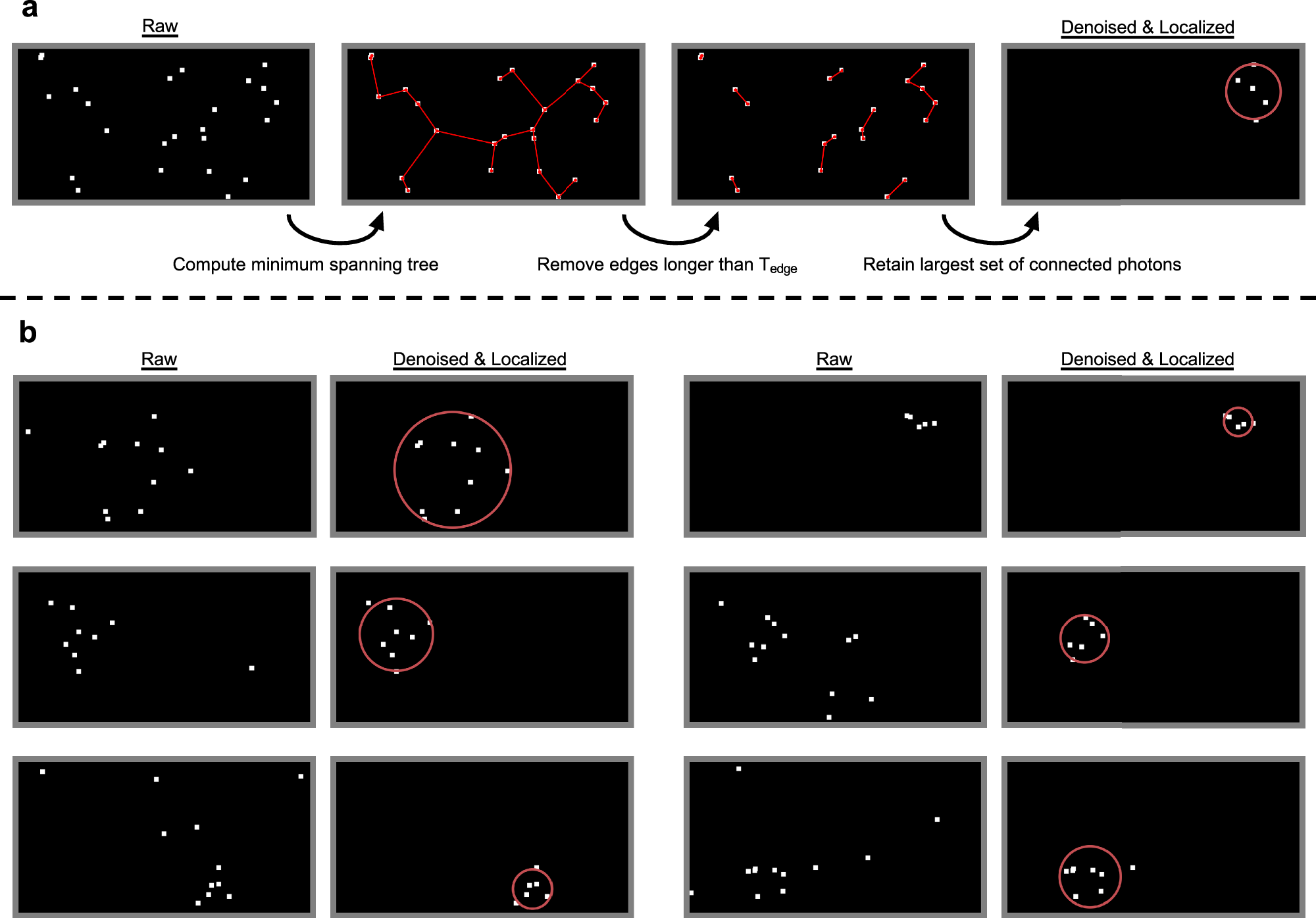 Fig. 3: Examples of raw frames and their denoised result taken from experimental data.