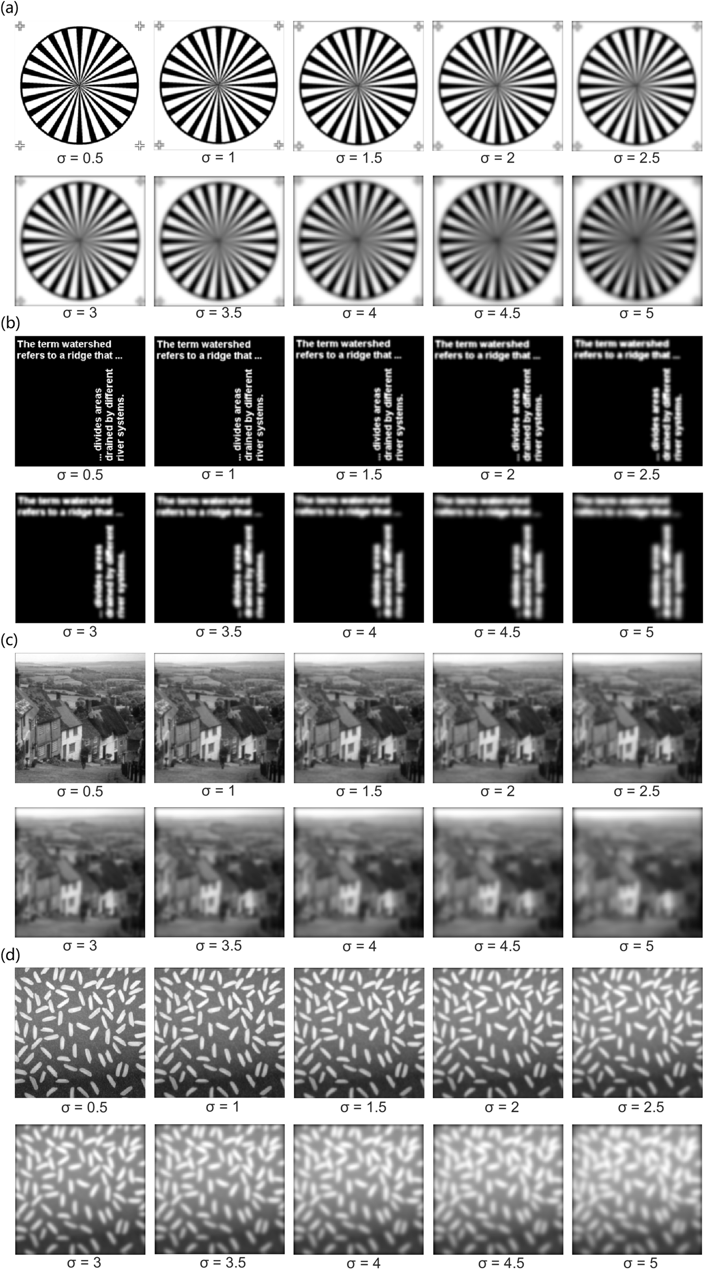 Fig. 4: Defocused images of objects with different levels of blurring.