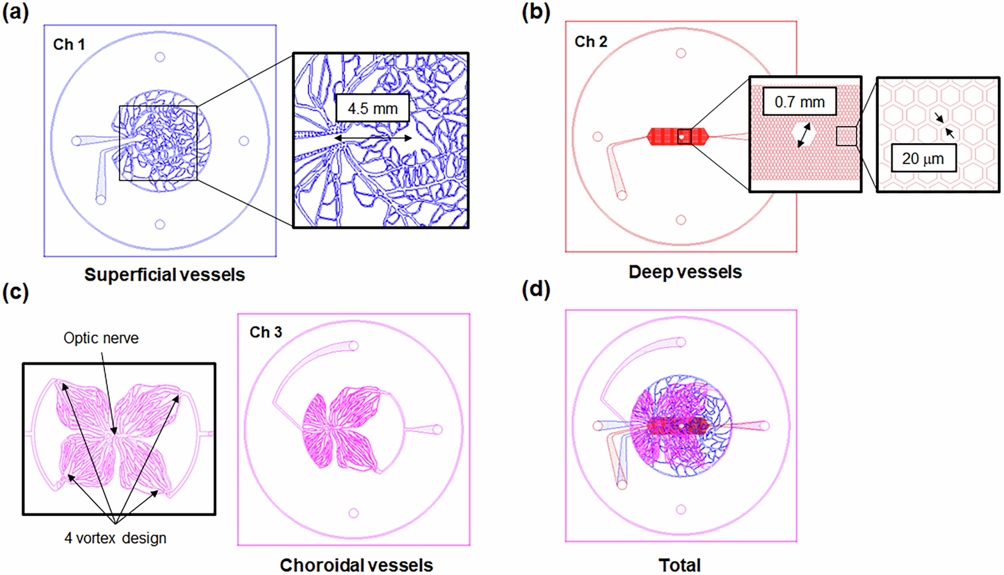 Fig. 1: Design of the microfluidic channels replicating three types of retinal blood vessels.