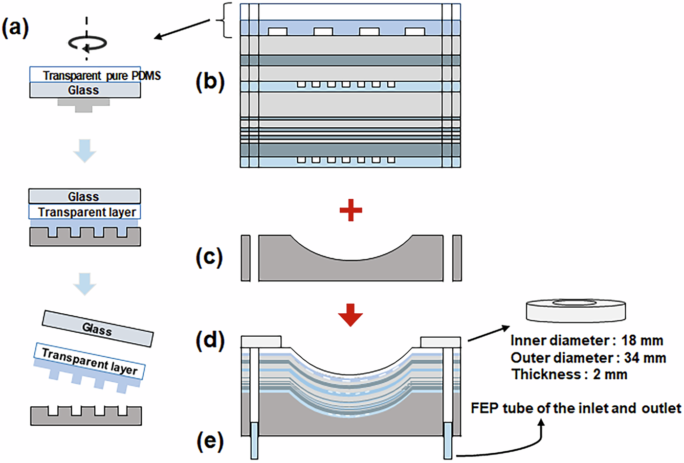 Fig. 3: Attachment process of retinal phantom.