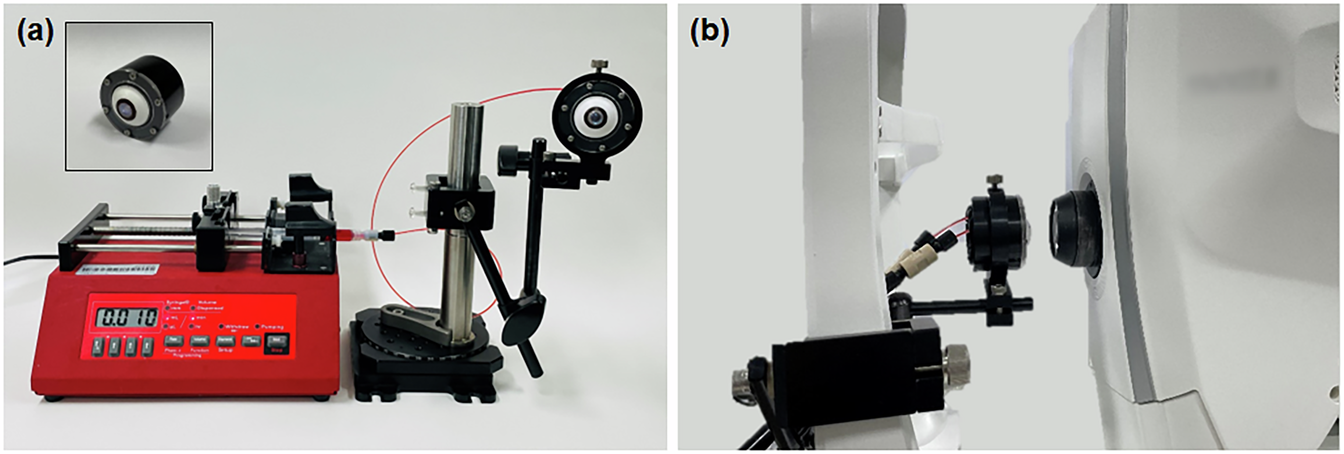 Fig. 4: The fabricated retinal phantom.