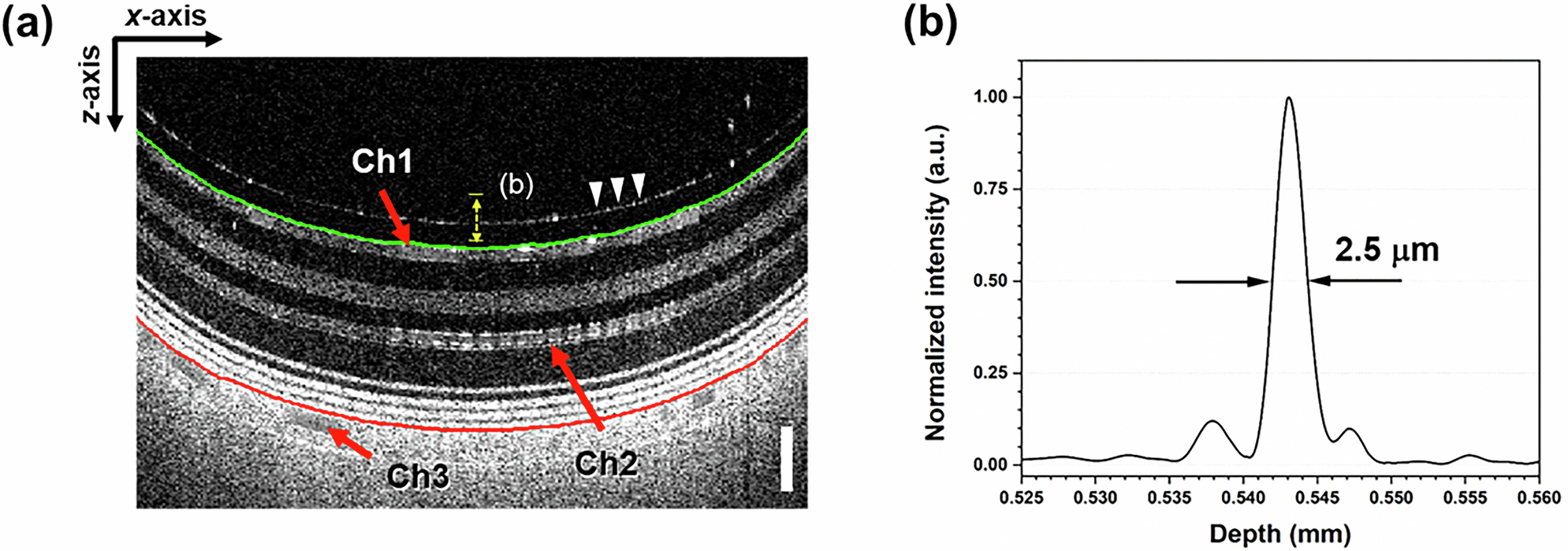 Fig. 6: Measurement of the axial resolution and range of the custom-built OCT system.