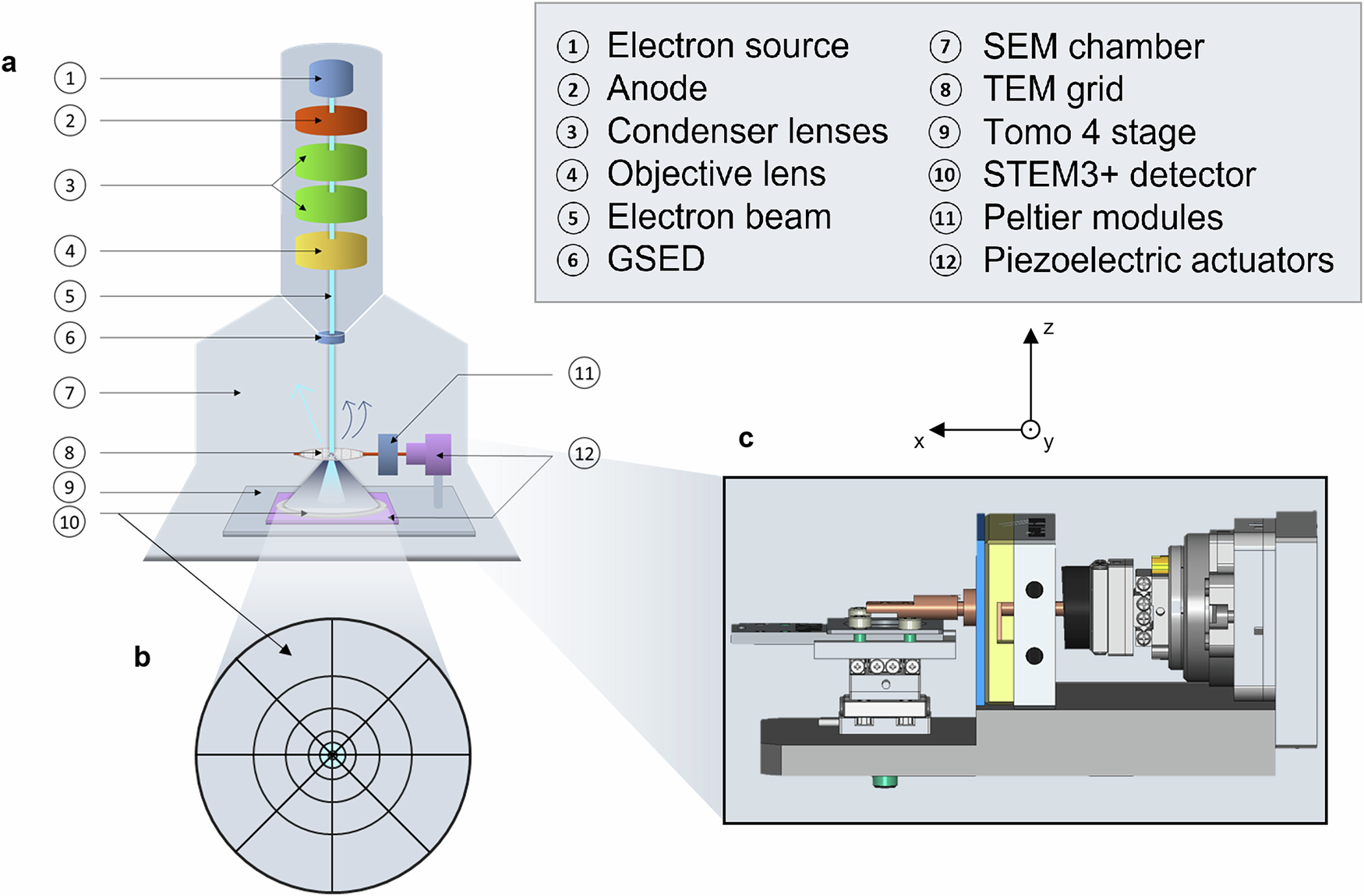 How to Make a Electron Microscope at Home: Easy DIY Guide