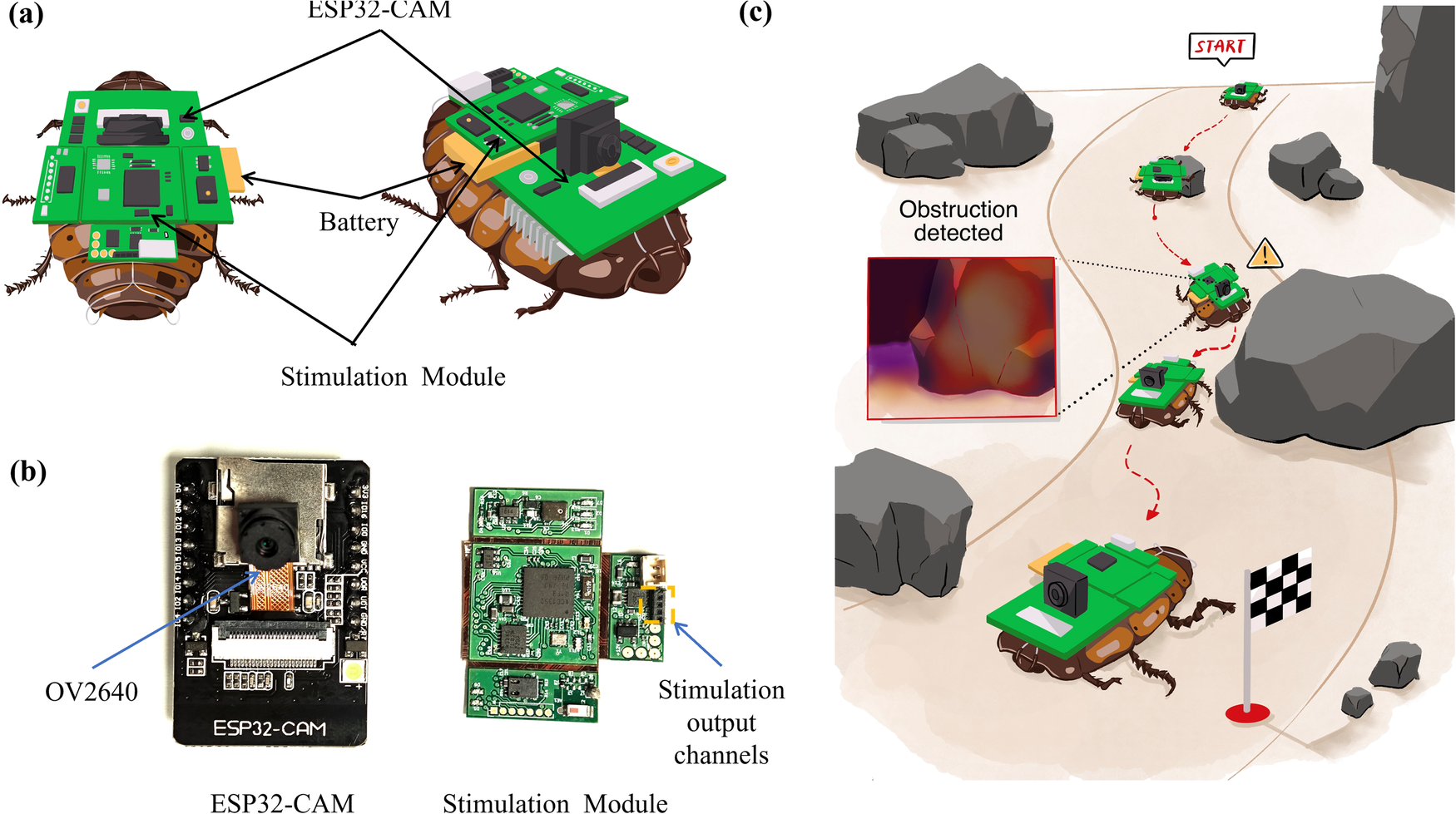 Smart insect-computer hybrid robots empowered with enhanced obstacle  avoidance capabilities using onboard monocular camera | npj Robotics