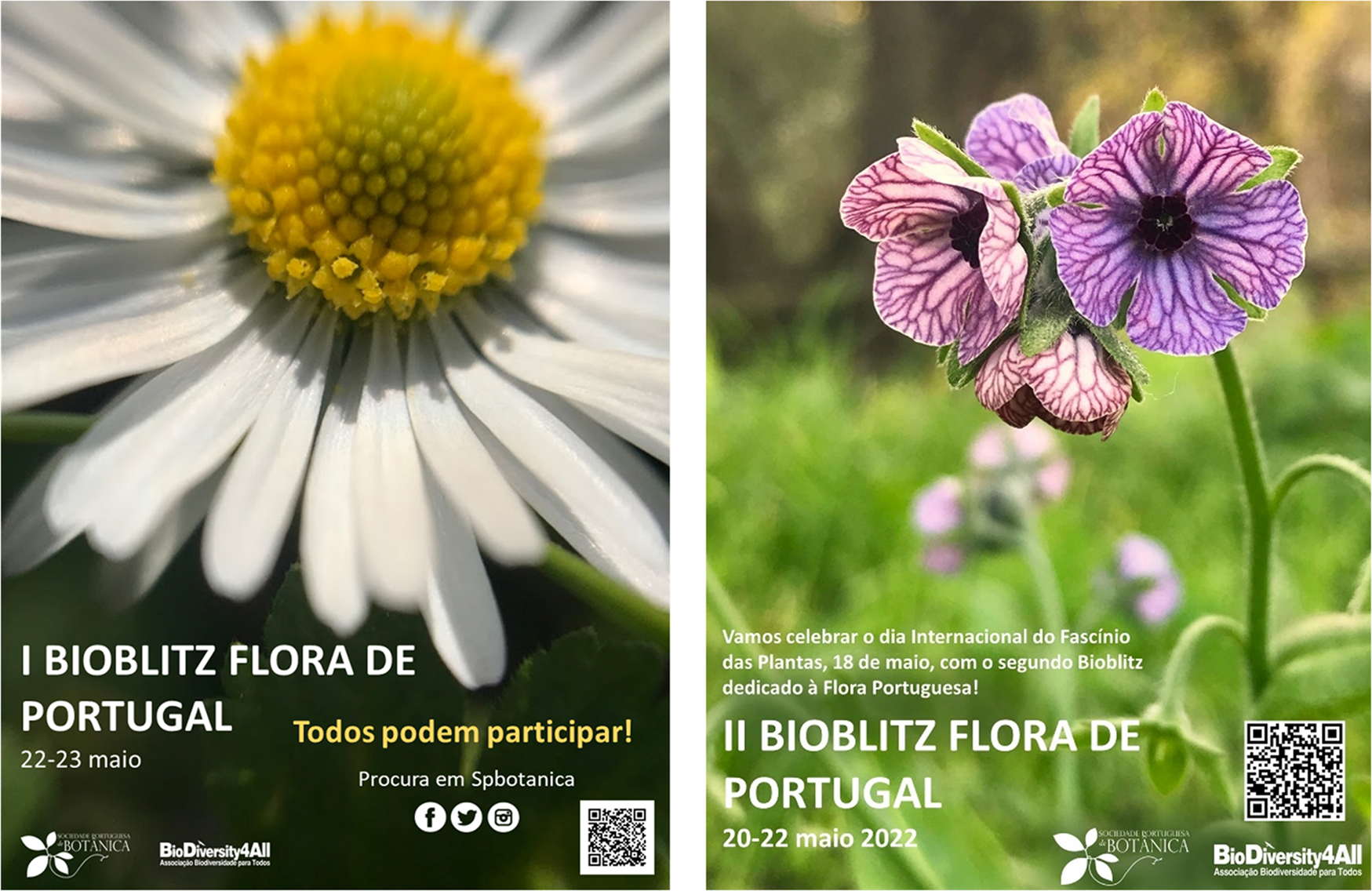 Fig. 4: Bioblitz I & II – Flora of Portugal.
