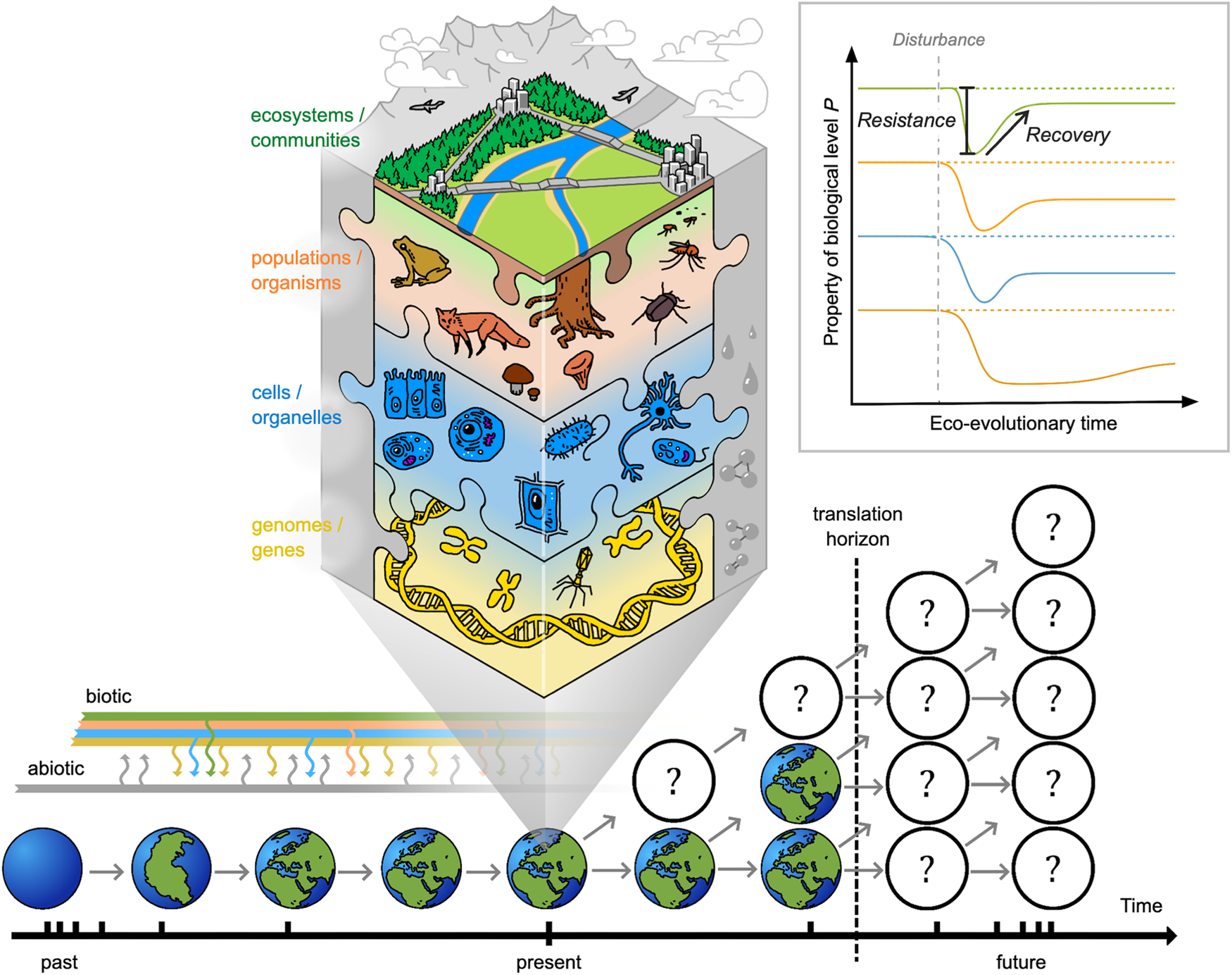 Events versus time in the perception of nonadjacent key