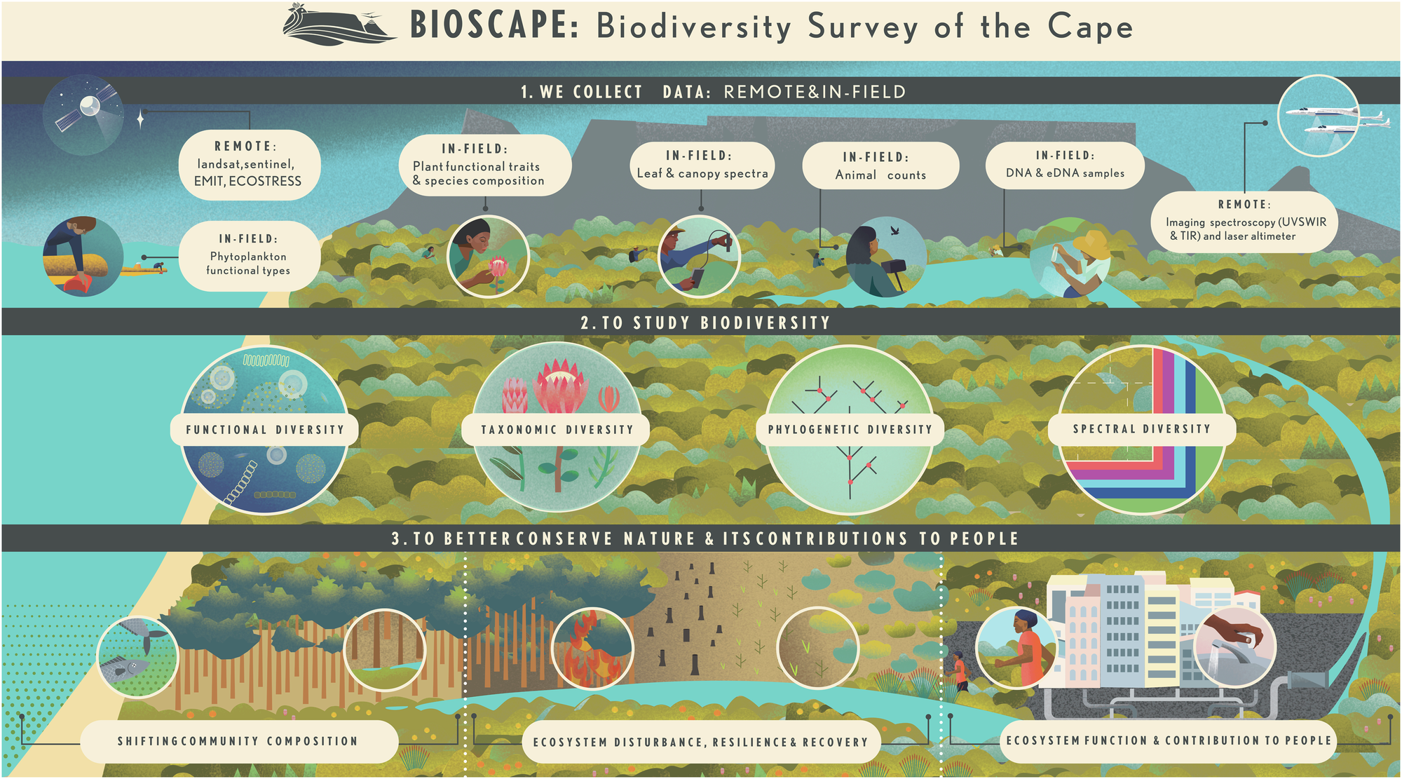 NASAのBioSCapeプロジェクトで生物多様性を宇宙から測定 (BioSCape, co-led by UB, shows how life on Earth can be measured from space)