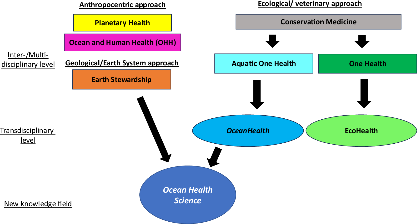 Fig. 2: Positioning of OceanHealth and Ocean Health Science.