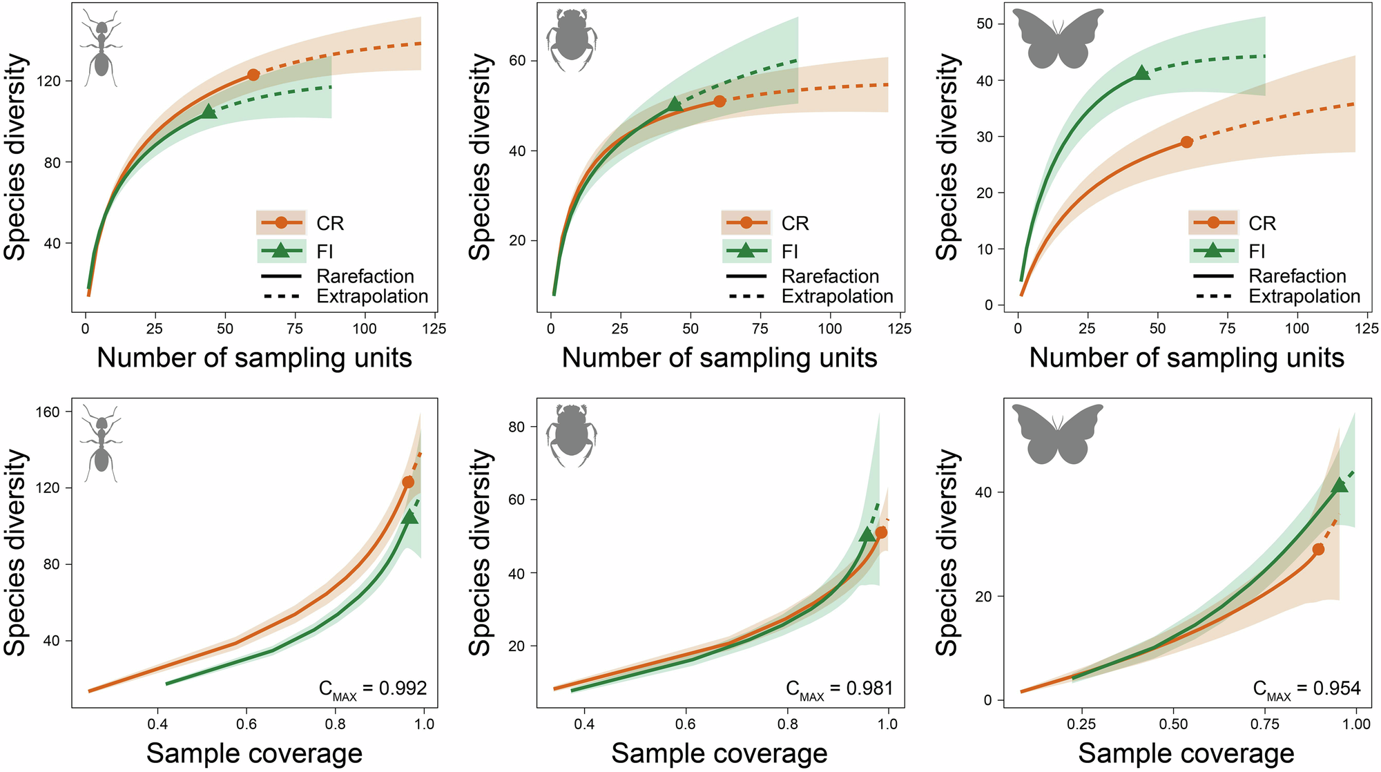Forest islands sustain more temporally stable insect metacommunities in a heterogeneous tropical mountaintop landscape