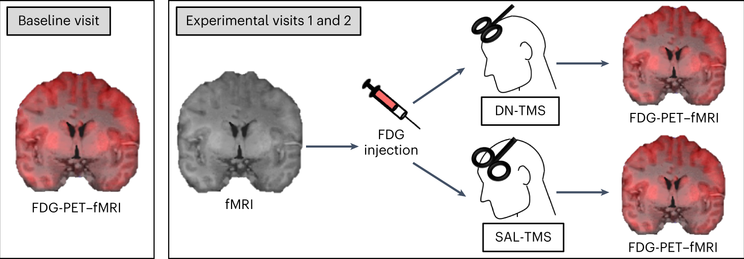 Frequency-specific neuromodulation of local and distant