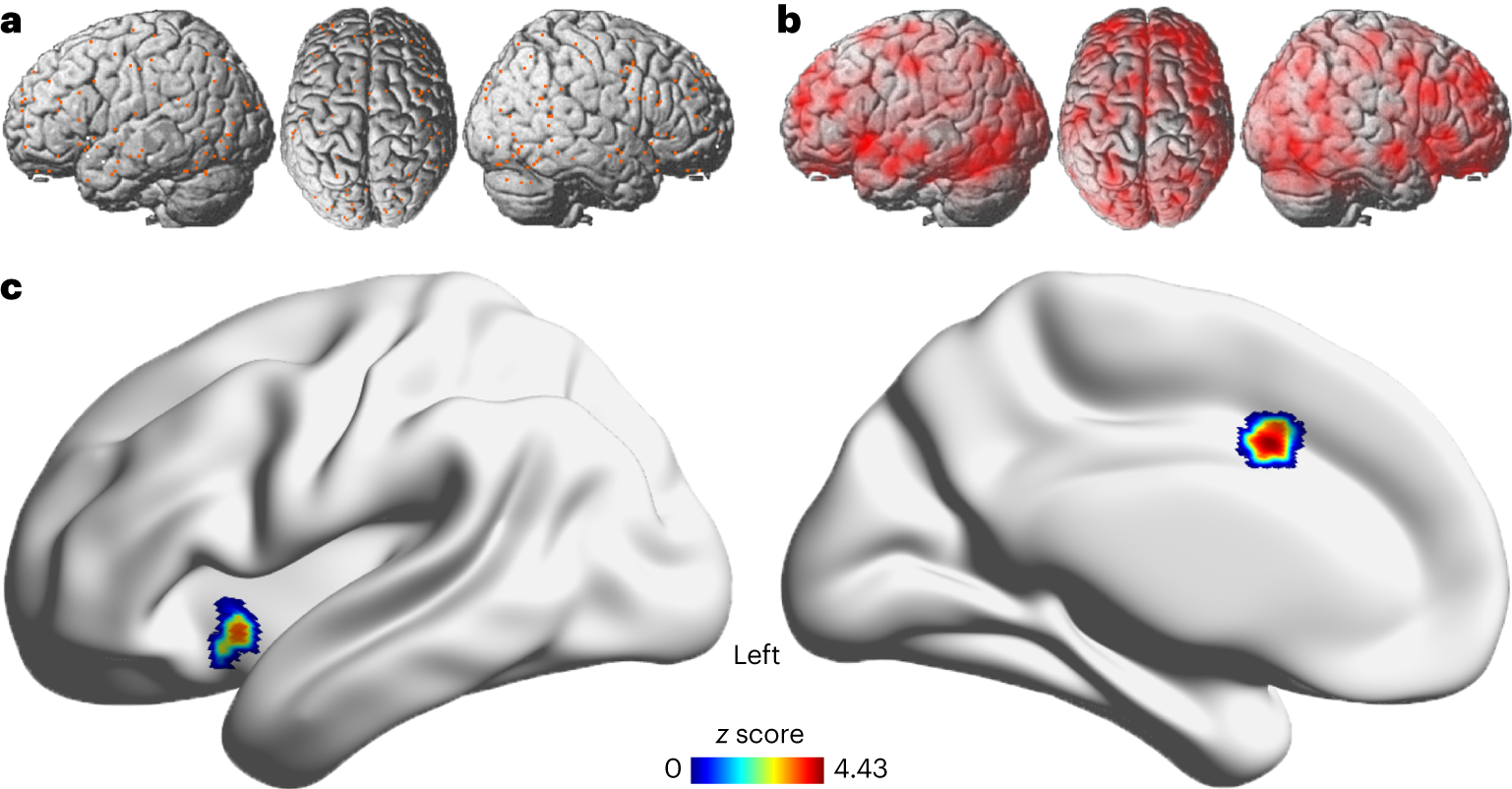 Aberrant brain activity in pedophilia links to receptor distribution, gene  expression, and behavior | Nature Mental Health