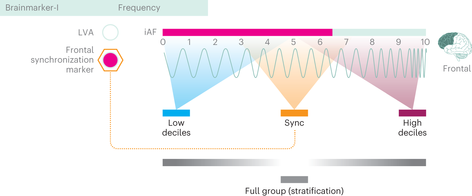 Fig. 1: Visualization of the Brainmarker-I classification.
