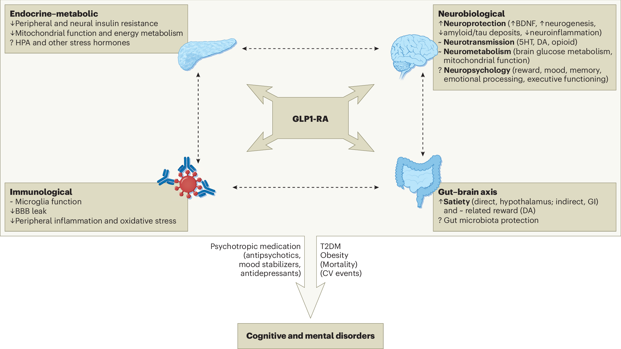 neurological studies