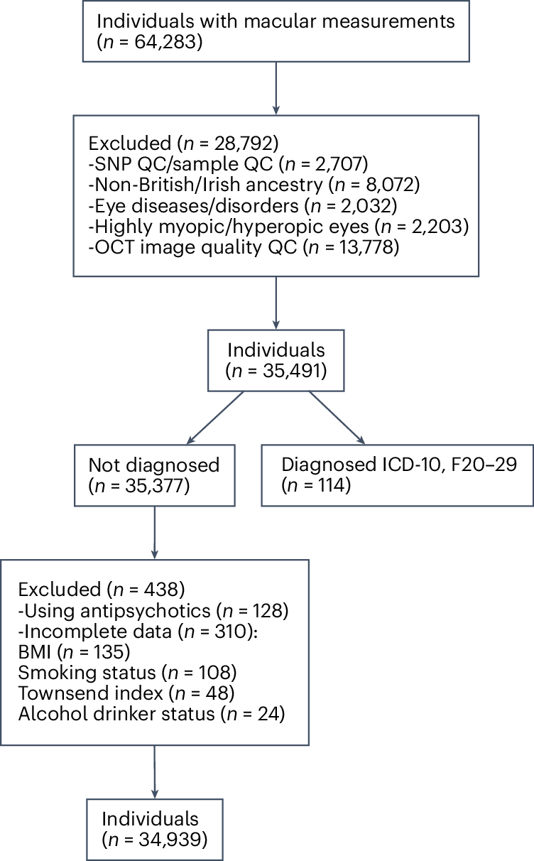 Fig. 2: Diagram of inclusion and exclusion of participants in this population.