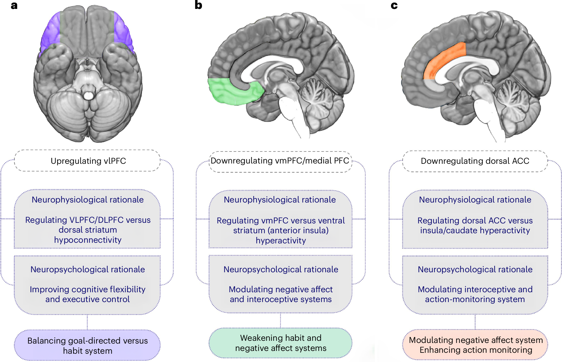 Fig. 6: tES interventions with therapeutic potential.