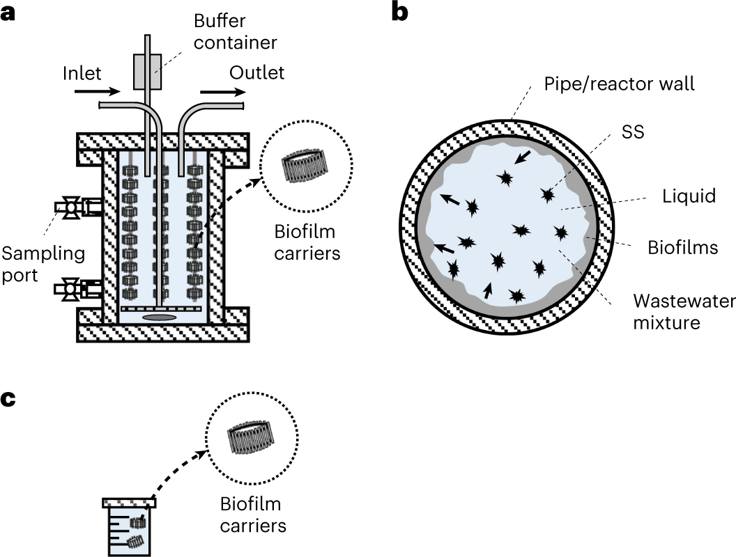 Fig. 1: Sewer biofilm reactor and testing chamber.