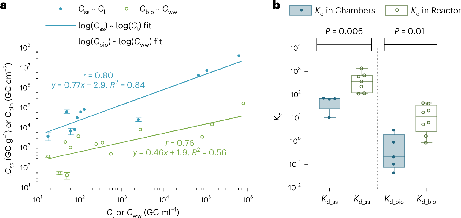 Fig. 2: Sorption of SARS-CoV-2 RNA to suspended solids and sewer biofilms.