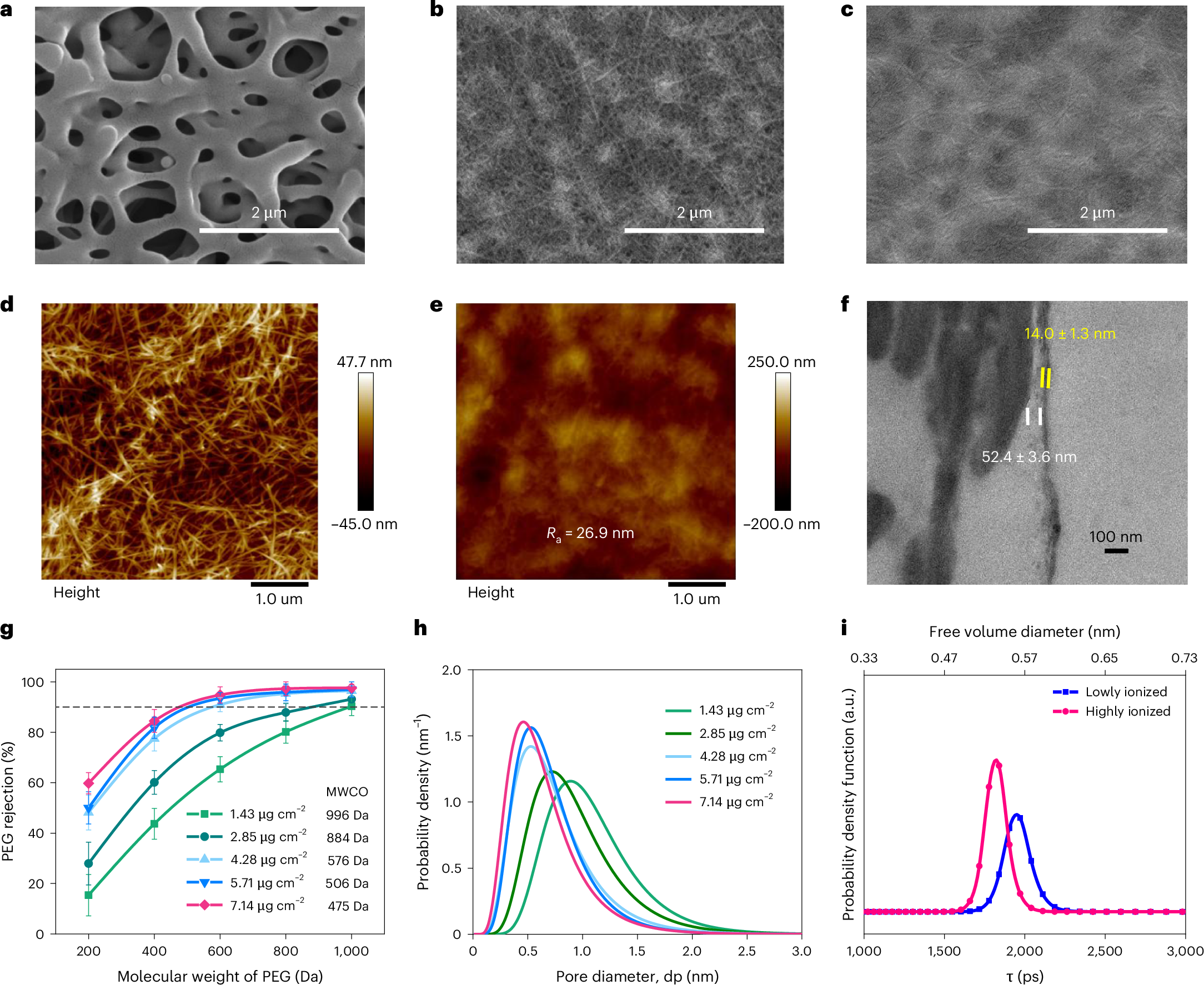 Fig. 2: Physico-chemical structure of PA–SNFC.