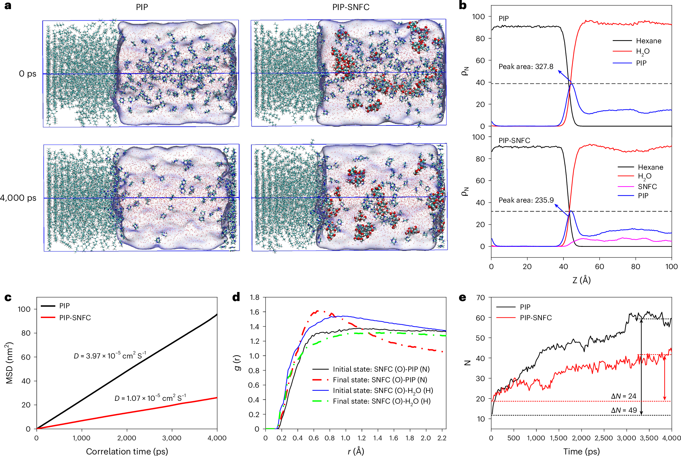 Fig. 3: MD simulation of the SNFC–RIP process.
