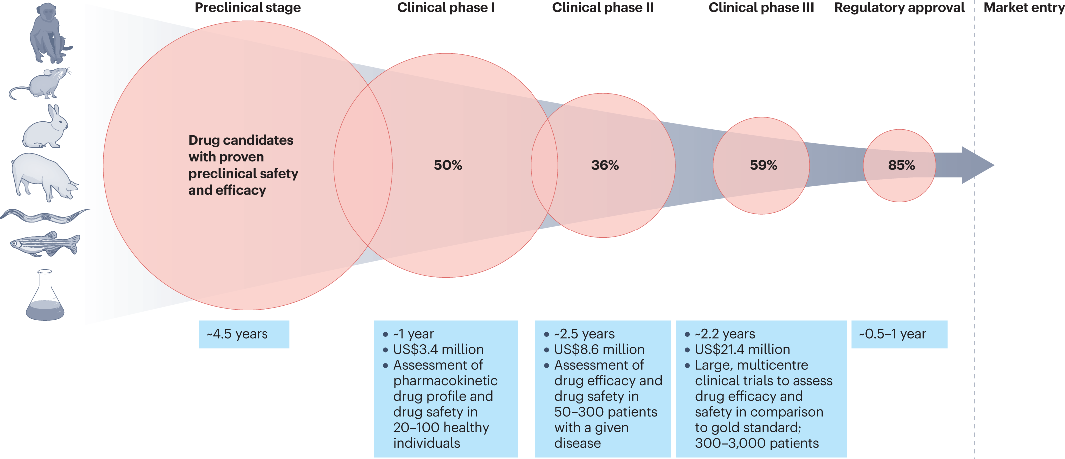 Importance of toxicity testing in drug discovery and research