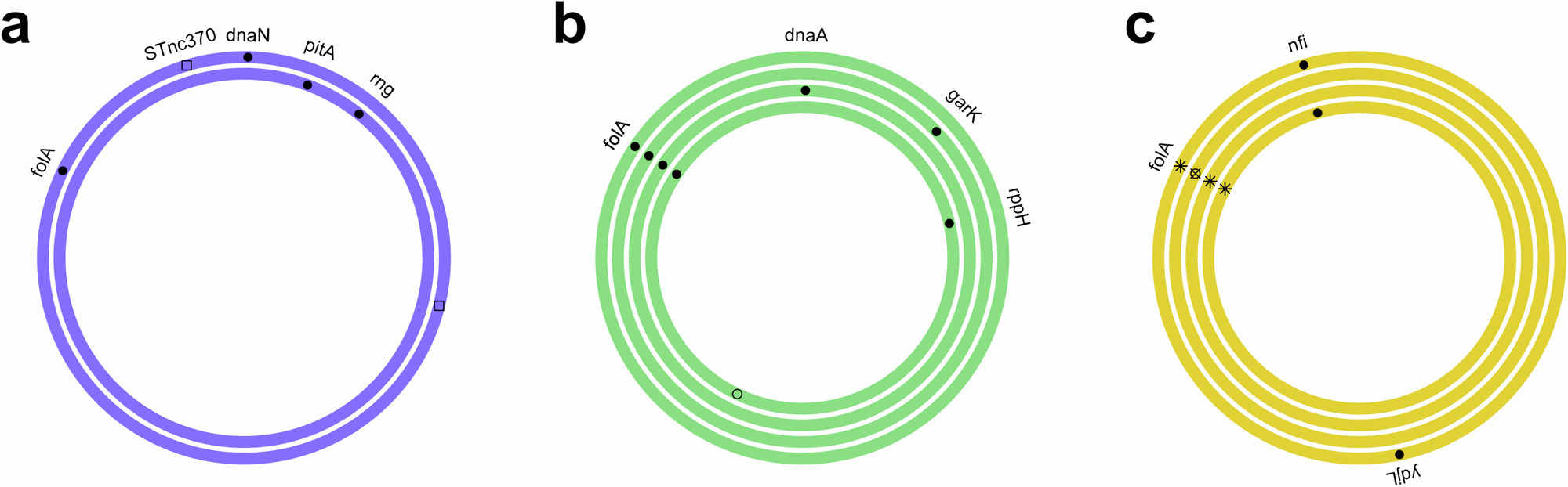 Fig. 3: Mutation profile of trimethoprim-resistant derivatives.