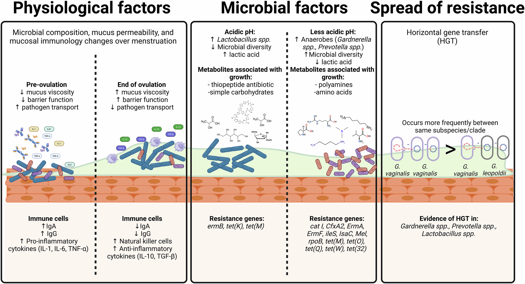 glutathione suppositories side effects Leveraging the microbiome to combat antibiotic resistant gynecological  infections