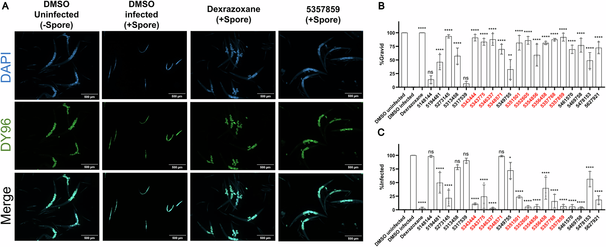 Fig. 2: Validation that the identified ChemBridge compounds inhibit N. parisii.