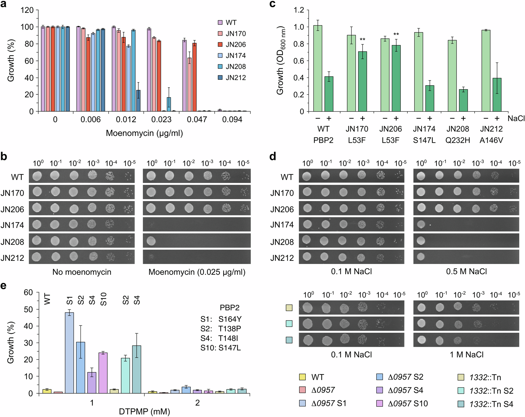 Fig. 3: Influence of PBP2 mutations on sensitivity to moenomycin and osmotic stress.