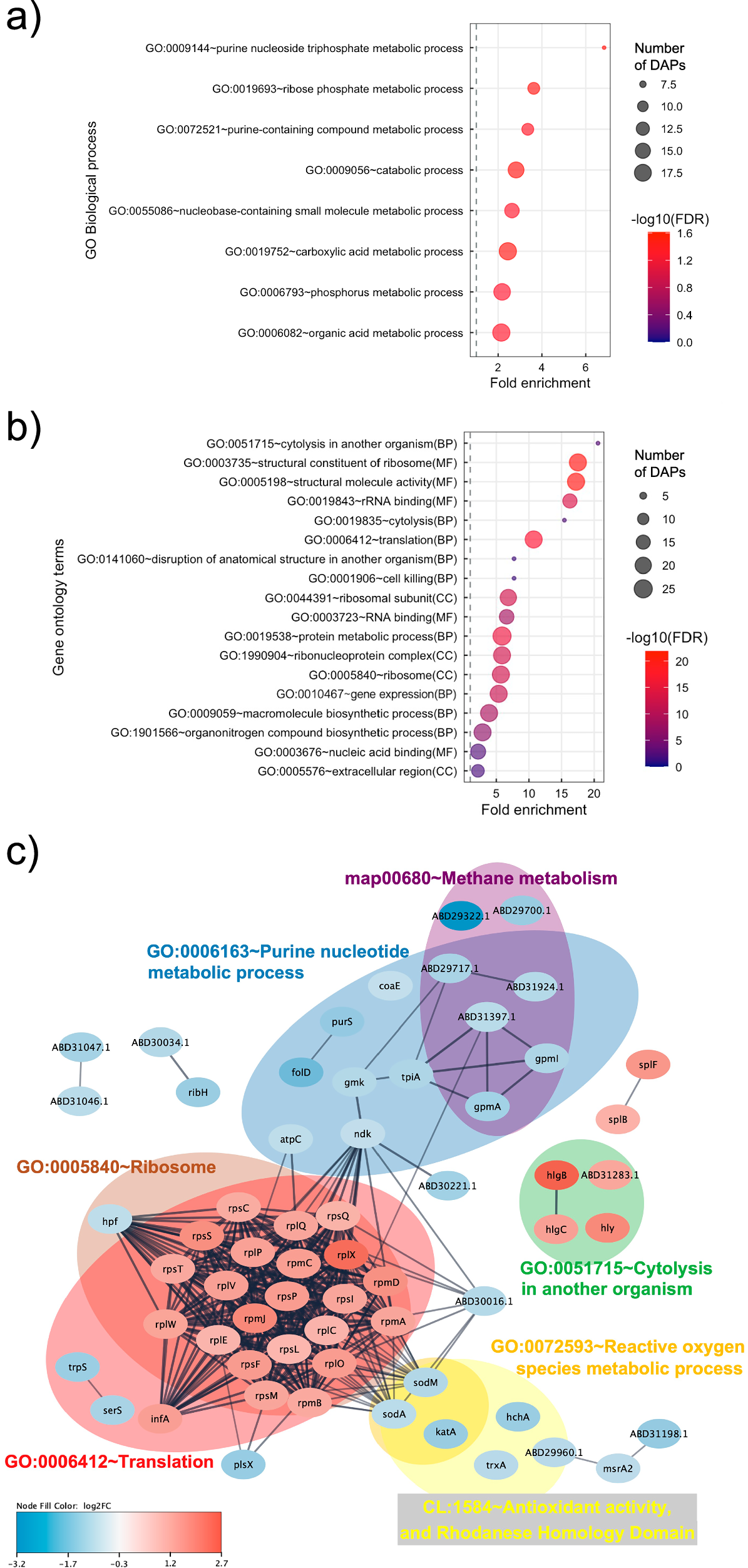 Fig. 4: Functional annotation and protein-protein interactions prediction of differentially abundant proteins (DAPs) in S. aureus NCTC8325 under sub-MIC of chloramphenicol treatment.