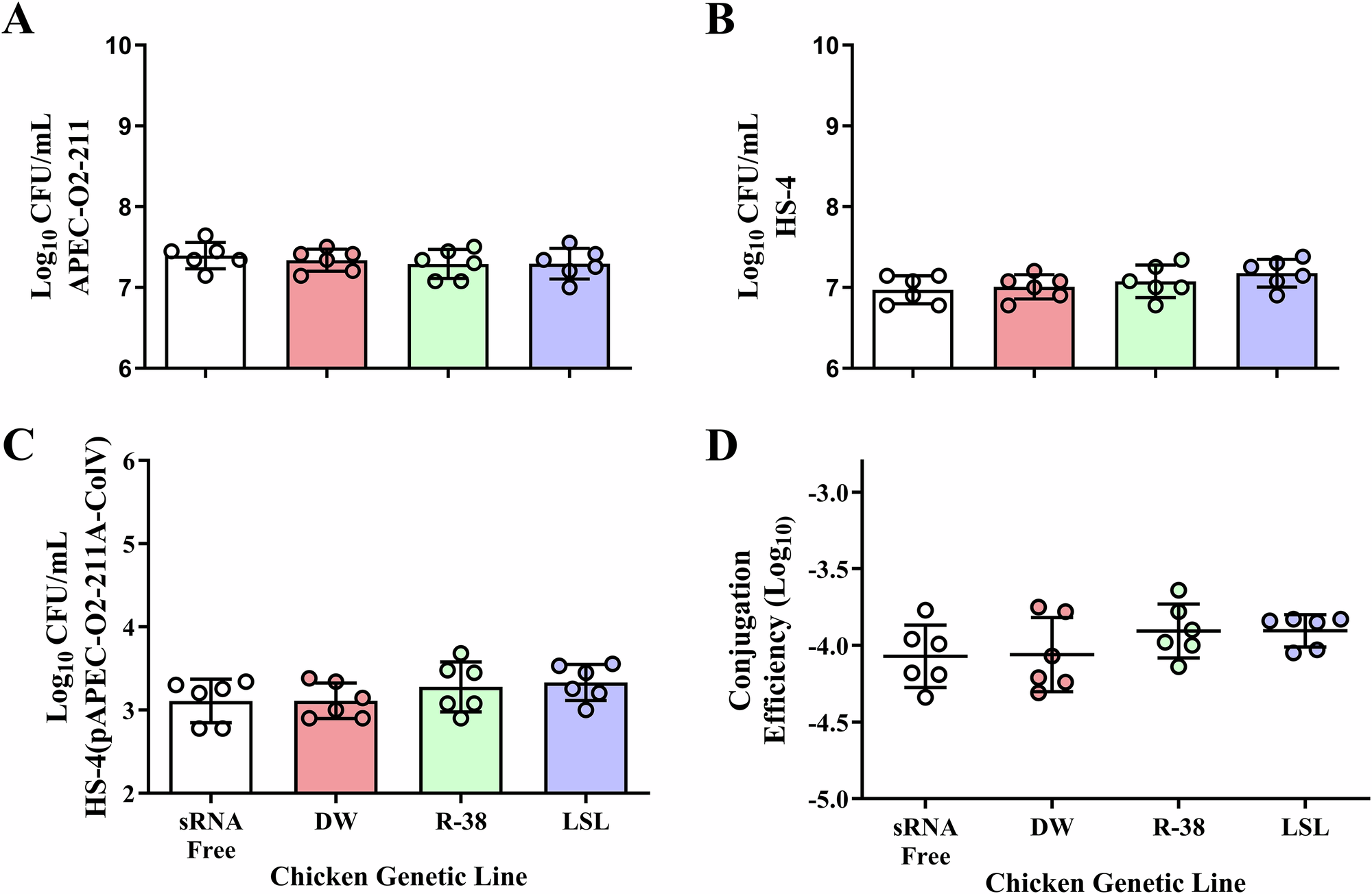 Fig. 3: Effect of commercial chicken ceca tissue small RNA extract supplementation on conjugation in vitro.