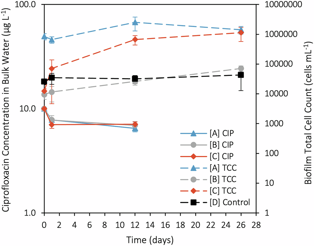 Fig. 1: Dual-axis time-series plot of ciprofloxacin concentration and biofilm TCCs.