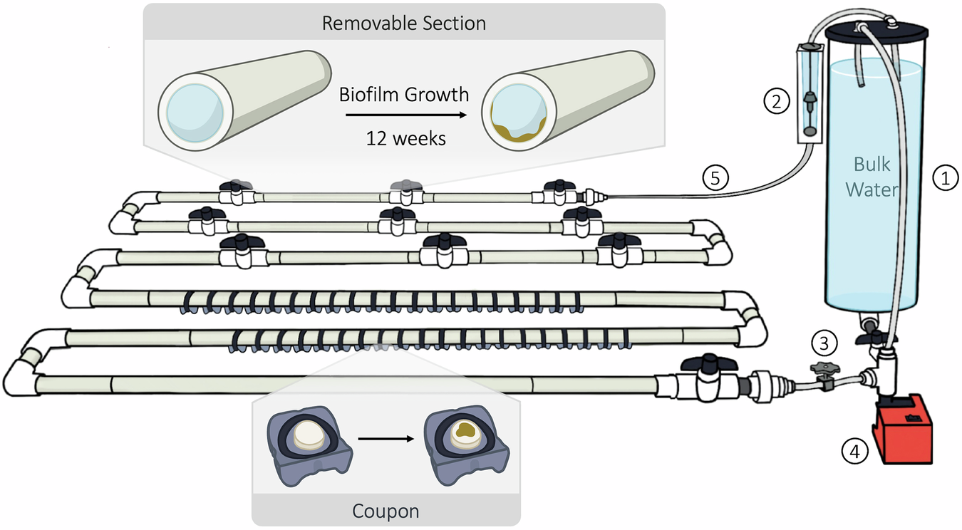 Fig. 5: Schematic diagram of one BWDR.