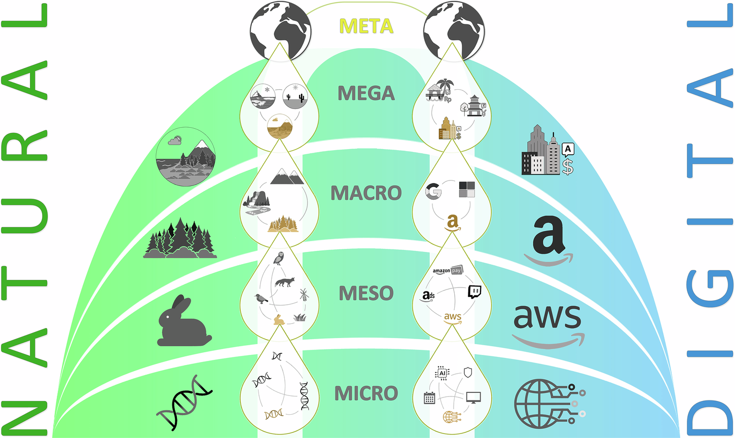 An ecological perspective to master the complexities of the digital economy  | npj Complexity