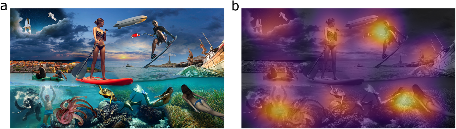 Fig. 1: Stimulus and overlaid fixation map.