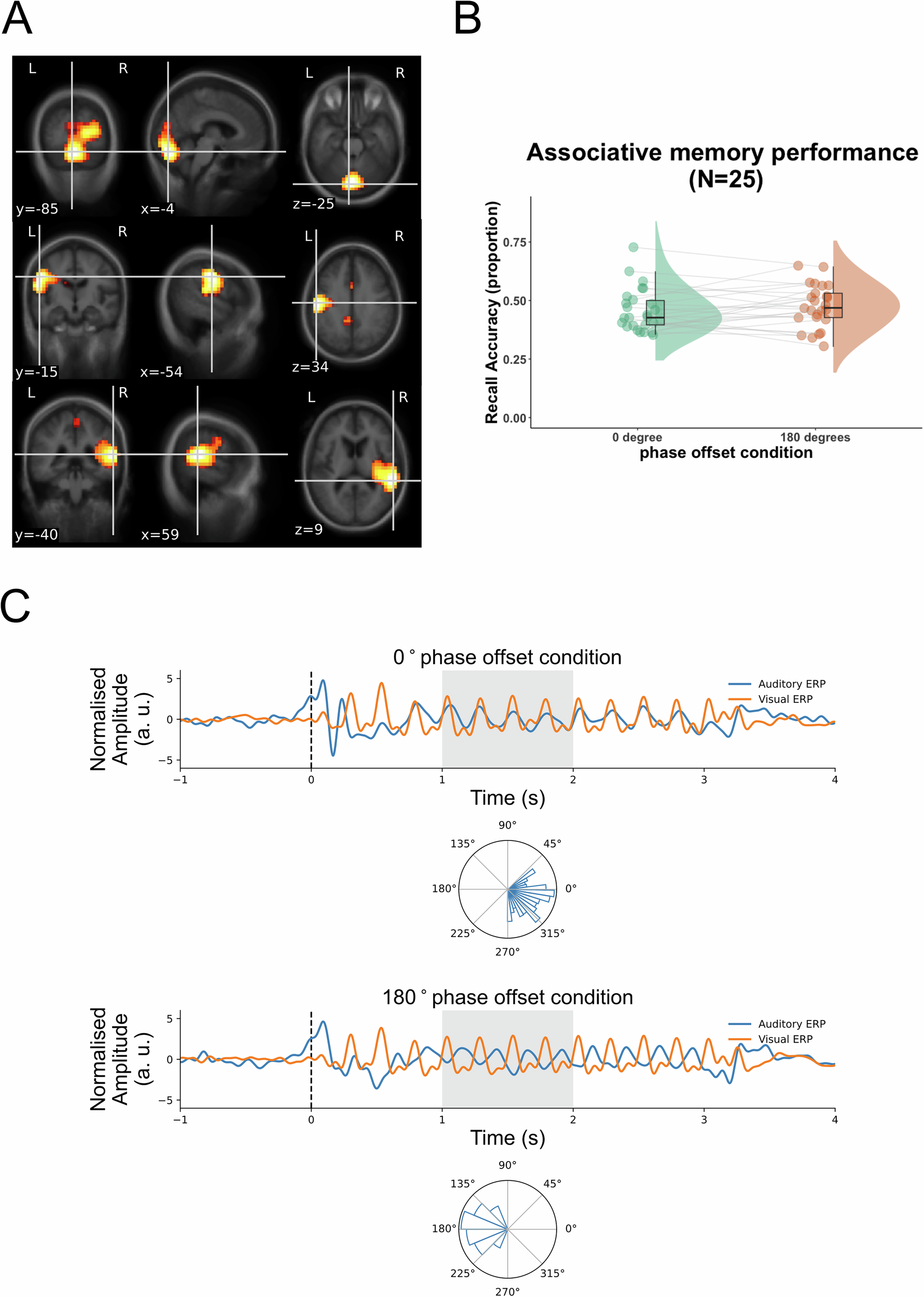 Fig. 2: Memory performance and the degree of cross-regional phase synchronisation in each phase offset condition.