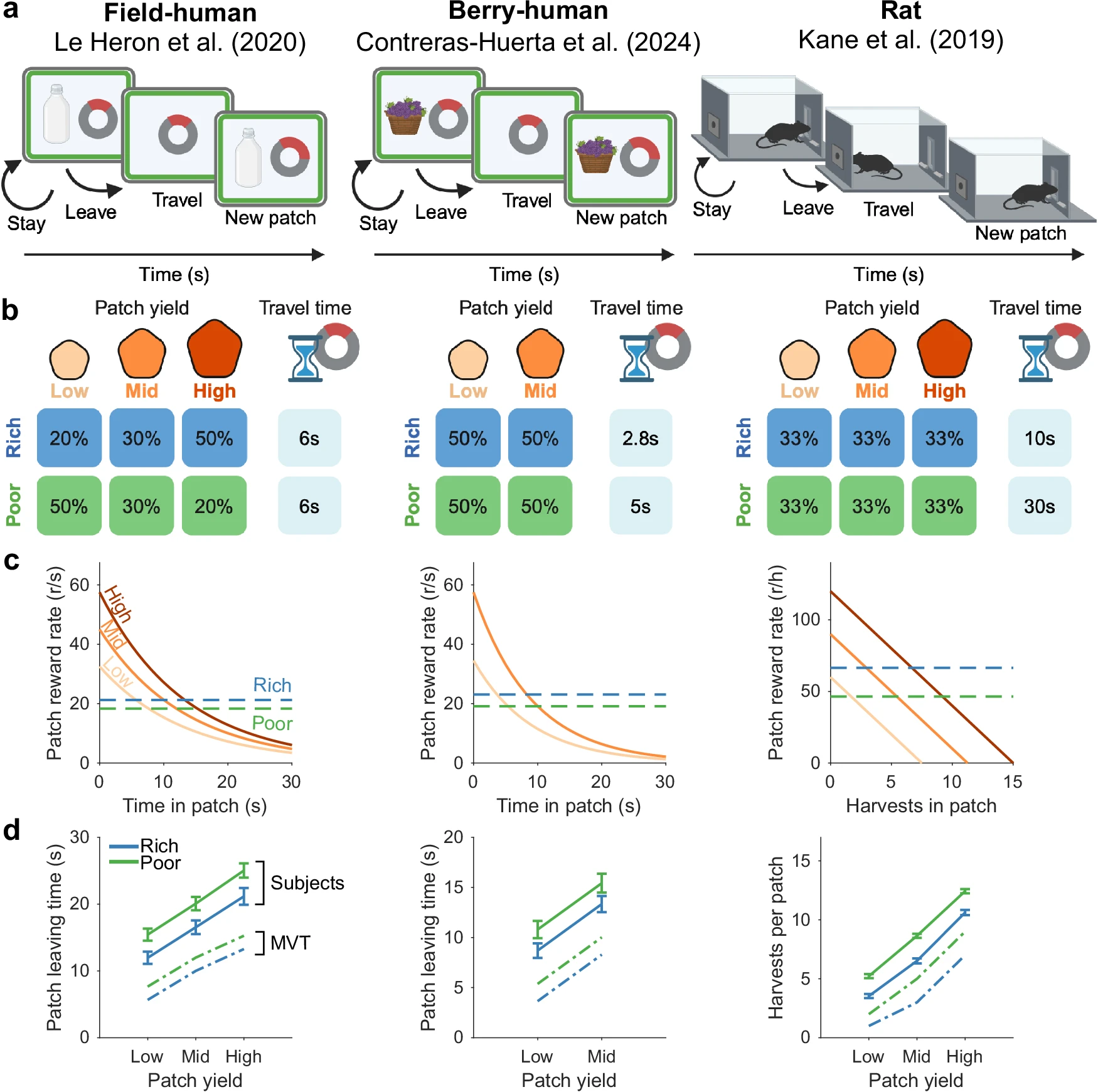 Stochastic choice drives variability in patch foraging decisions in humans and rats
