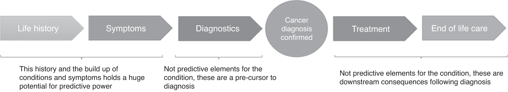 Fig. 1: Pathways leading up to and beyond a Lung Cancer Diagnosis for patients.