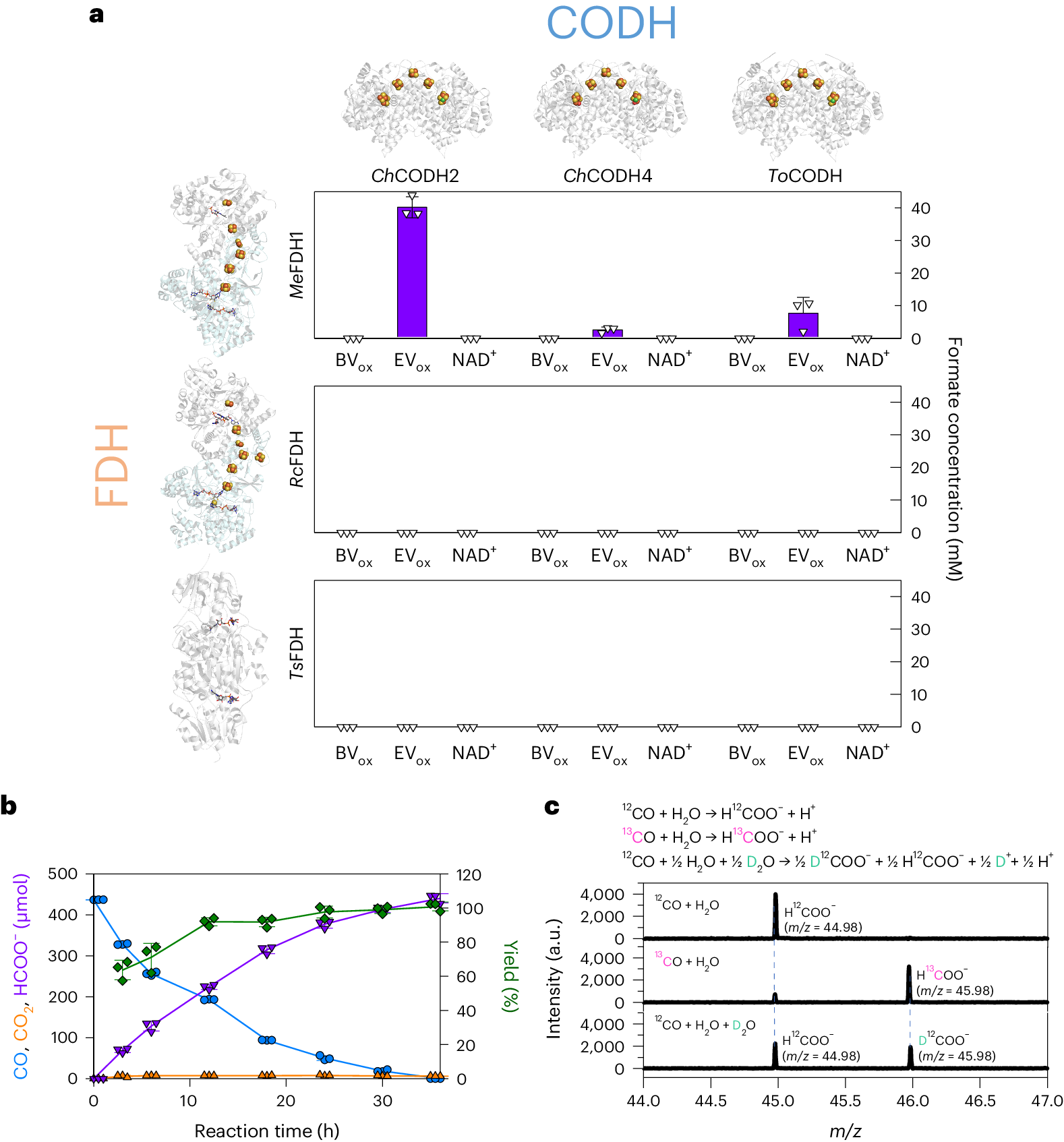 Fig. 2: Examination and optimal conditions for enCOH.