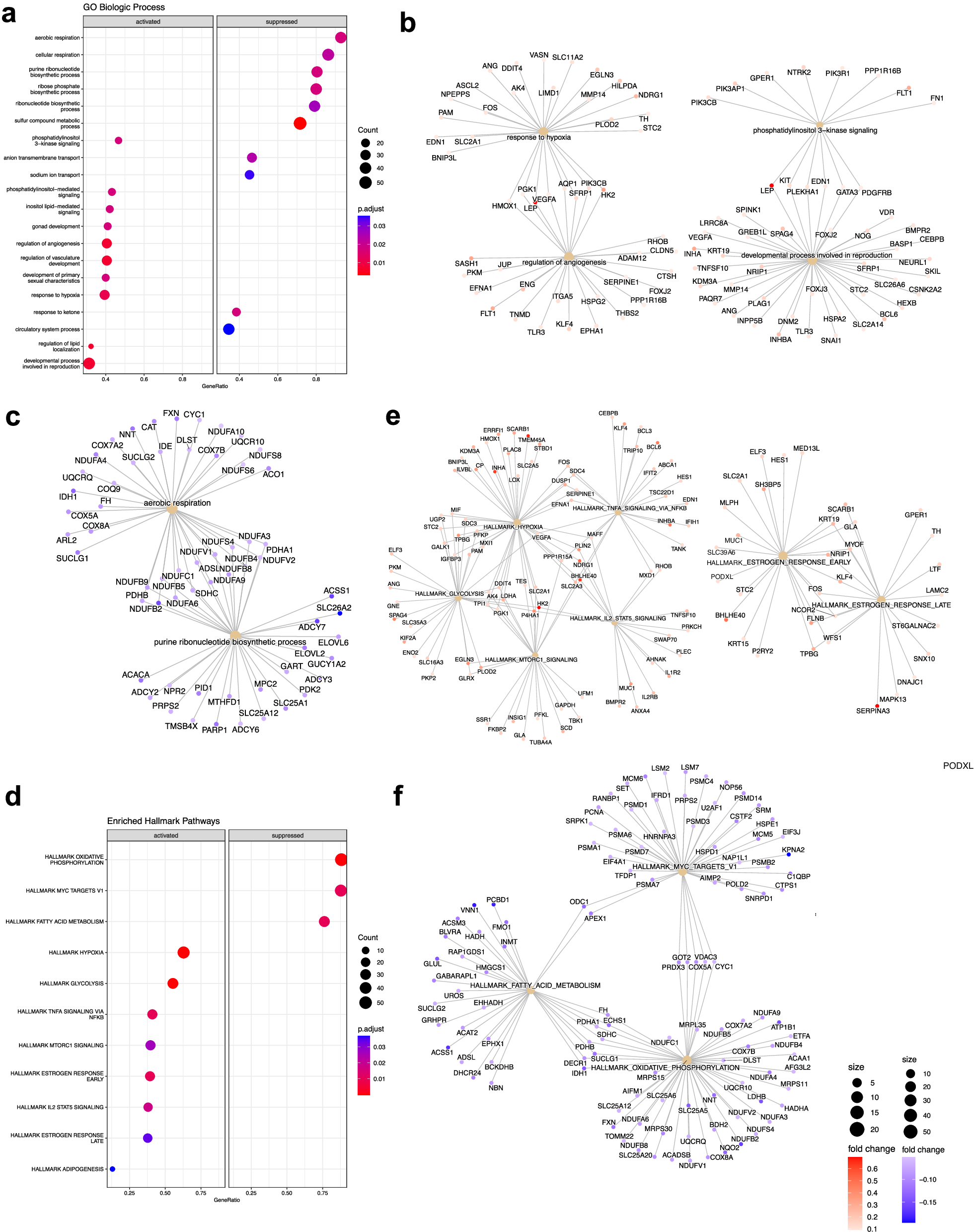 Fig. 3: Early onset preeclampsia gene set enrichment analysis.