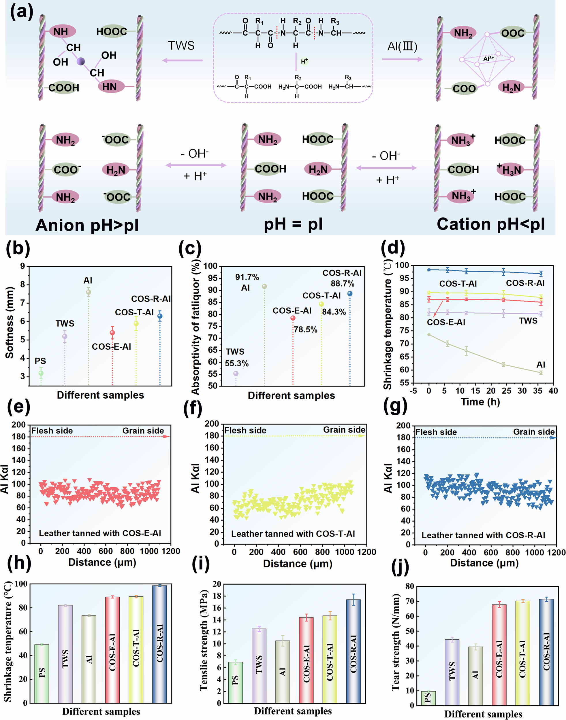 Fig. 2: The combination of different tanning agents with collagen fibers and the physical and mechanical properties of crust leather after tanning with different tanning agents.