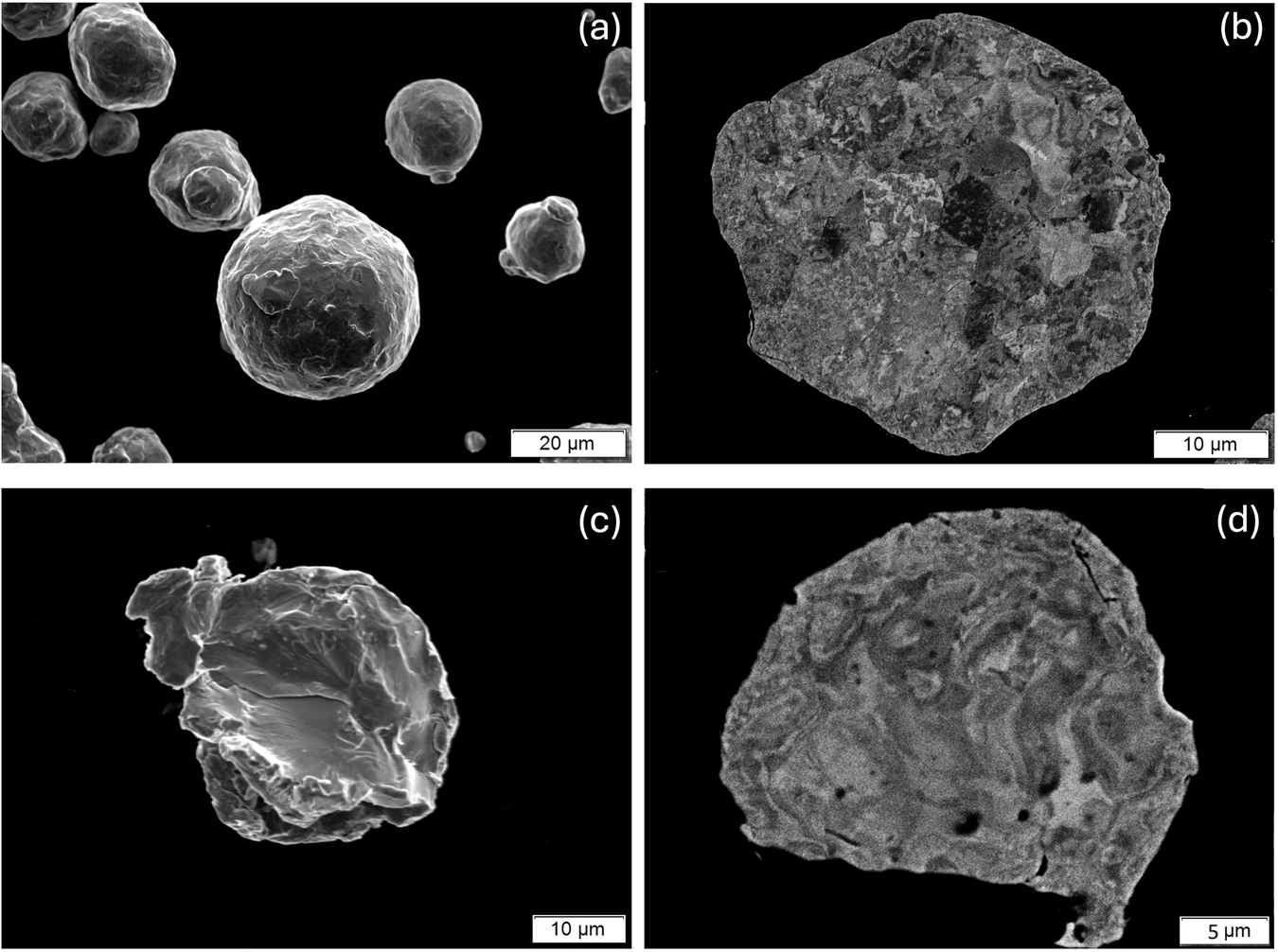 Fig. 1: SEM images of powder.